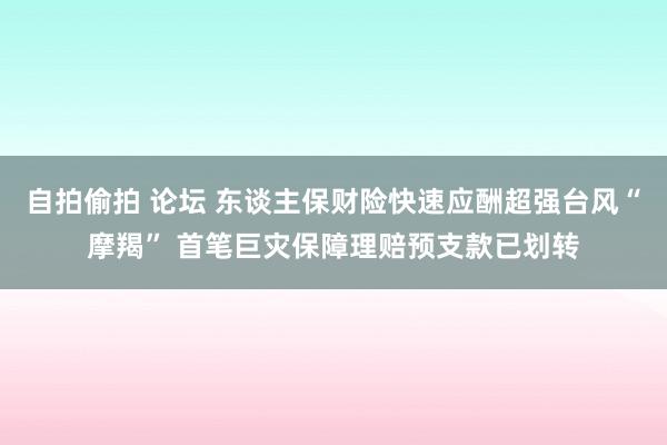 自拍偷拍 论坛 东谈主保财险快速应酬超强台风“摩羯” 首笔巨灾保障理赔预支款已划转