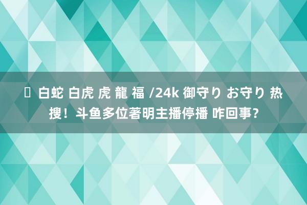 ✨白蛇 白虎 虎 龍 福 /24k 御守り お守り 热搜！斗鱼多位著明主播停播 咋回事？