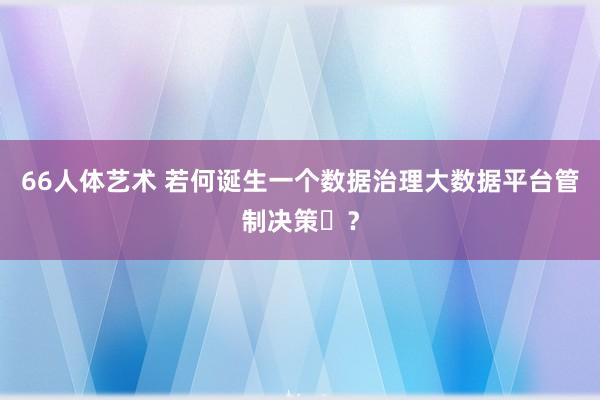 66人体艺术 若何诞生一个数据治理大数据平台管制决策​？