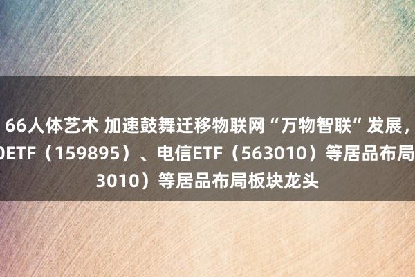 66人体艺术 加速鼓舞迁移物联网“万物智联”发展，物联网50ETF（159895）、电信ETF（563010）等居品布局板块龙头