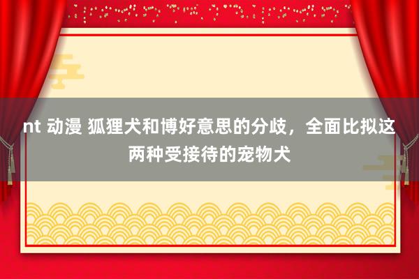 nt 动漫 狐狸犬和博好意思的分歧，全面比拟这两种受接待的宠物犬