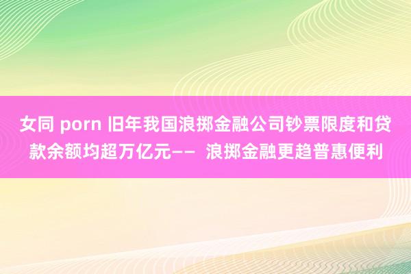 女同 porn 旧年我国浪掷金融公司钞票限度和贷款余额均超万亿元——  浪掷金融更趋普惠便利