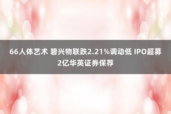 66人体艺术 碧兴物联跌2.21%调动低 IPO超募2亿华英证券保荐