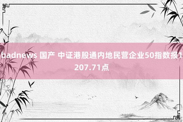 badnews 国产 中证港股通内地民营企业50指数报1207.71点