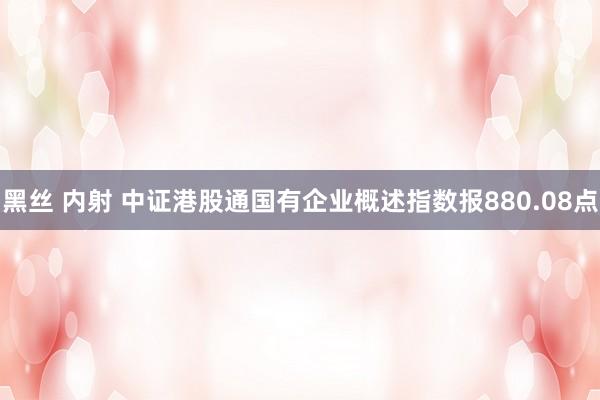 黑丝 内射 中证港股通国有企业概述指数报880.08点