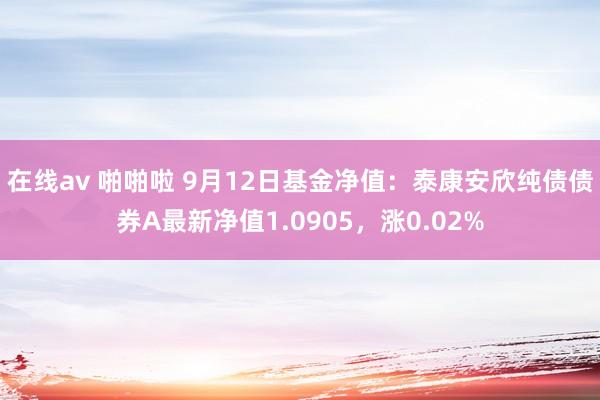 在线av 啪啪啦 9月12日基金净值：泰康安欣纯债债券A最新净值1.0905，涨0.02%