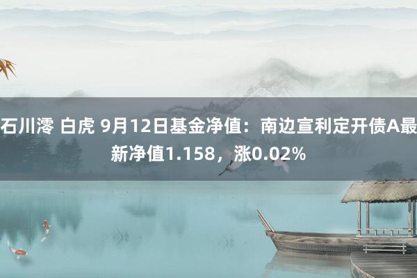 石川澪 白虎 9月12日基金净值：南边宣利定开债A最新净值1.158，涨0.02%