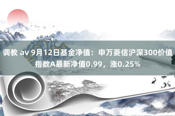 调教 av 9月12日基金净值：申万菱信沪深300价值指数A最新净值0.99，涨0.25%