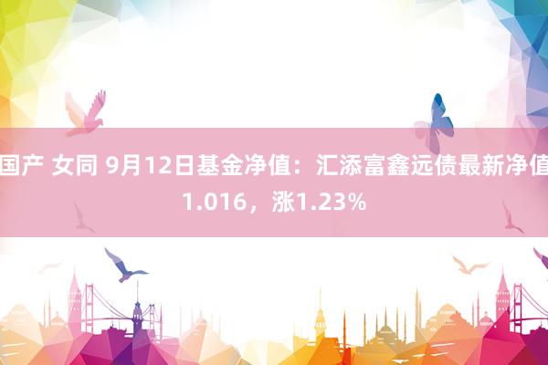 国产 女同 9月12日基金净值：汇添富鑫远债最新净值1.016，涨1.23%