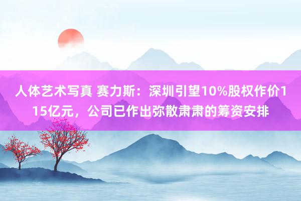 人体艺术写真 赛力斯：深圳引望10%股权作价115亿元，公司已作出弥散肃肃的筹资安排