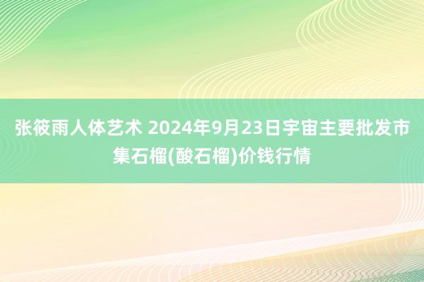 张筱雨人体艺术 2024年9月23日宇宙主要批发市集石榴(酸石榴)价钱行情