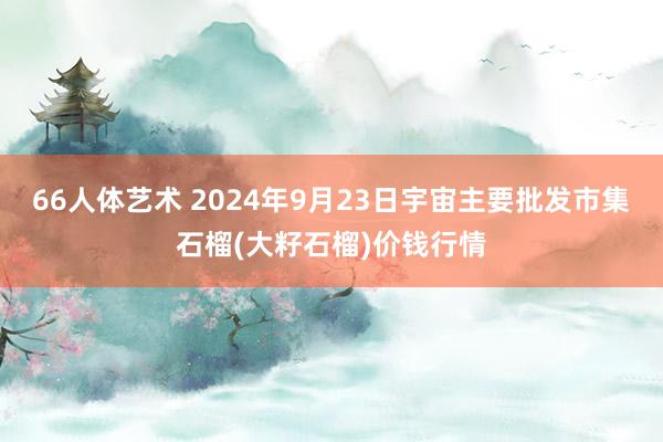 66人体艺术 2024年9月23日宇宙主要批发市集石榴(大籽石榴)价钱行情