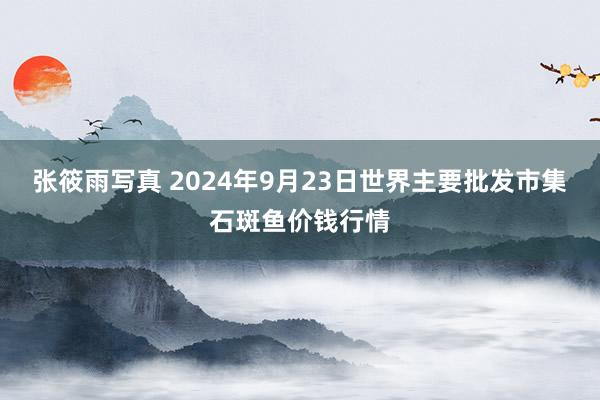 张筱雨写真 2024年9月23日世界主要批发市集石斑鱼价钱行情