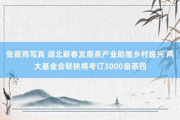 张筱雨写真 湖北蕲春发展茶产业助推乡村振兴 两大基金会联袂将考订3000亩茶园