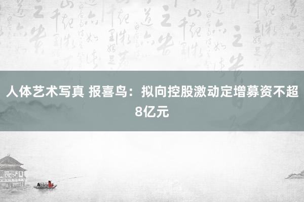 人体艺术写真 报喜鸟：拟向控股激动定增募资不超8亿元