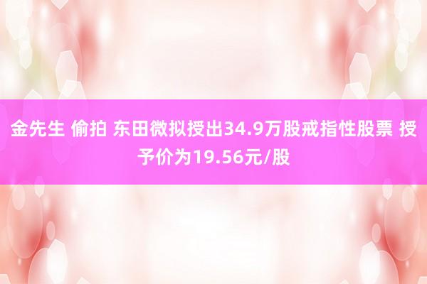 金先生 偷拍 东田微拟授出34.9万股戒指性股票 授予价为19.56元/股