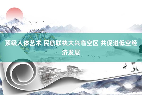 顶级人体艺术 民航联袂大兴临空区 共促进低空经济发展