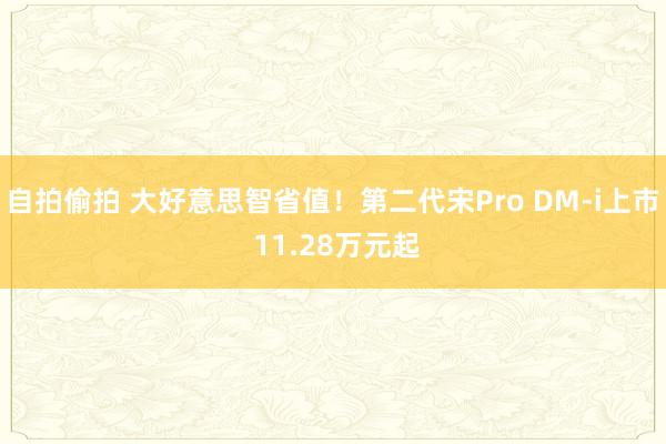 自拍偷拍 大好意思智省值！第二代宋Pro DM-i上市 11.28万元起