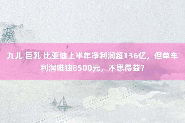 九儿 巨乳 比亚迪上半年净利润超136亿，但单车利润唯独8500元，不思得益？