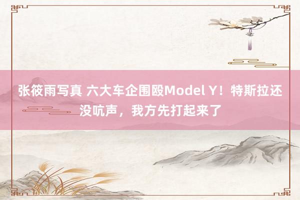 张筱雨写真 六大车企围殴Model Y！特斯拉还没吭声，我方先打起来了