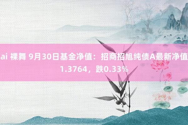 ai 裸舞 9月30日基金净值：招商招旭纯债A最新净值1.3764，跌0.33%