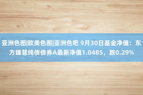 亚洲色图|欧美色图|亚洲色吧 9月30日基金净值：东方臻慧纯债债券A最新净值1.0485，跌0.29%