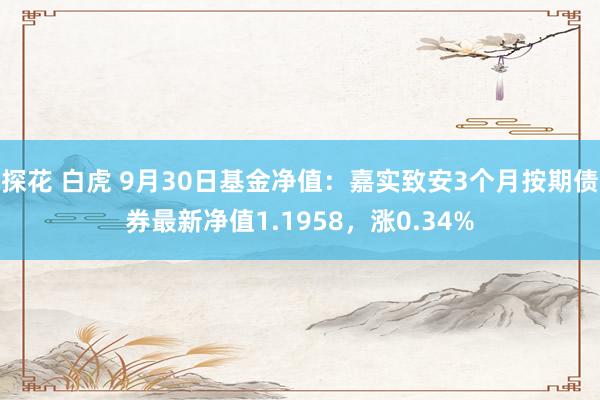 探花 白虎 9月30日基金净值：嘉实致安3个月按期债券最新净值1.1958，涨0.34%