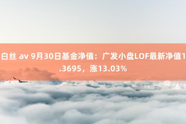 白丝 av 9月30日基金净值：广发小盘LOF最新净值1.3695，涨13.03%