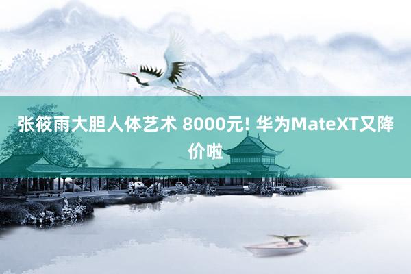 张筱雨大胆人体艺术 8000元! 华为MateXT又降价啦