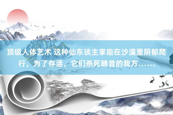 顶级人体艺术 这种仙东谈主掌能在沙漠里阴郁爬行，为了存活，它们杀死畴昔的我方……