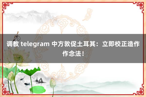 调教 telegram 中方敦促土耳其：立即校正造作作念法！