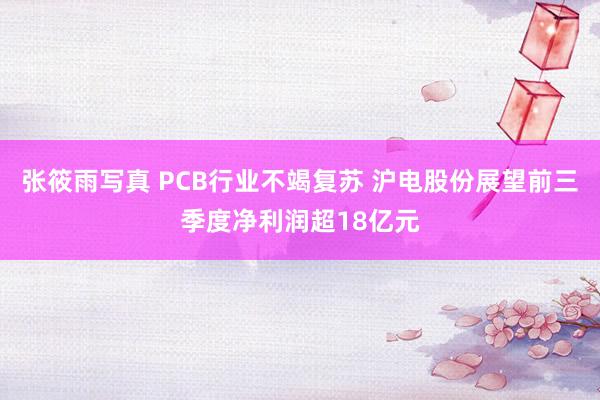 张筱雨写真 PCB行业不竭复苏 沪电股份展望前三季度净利润超18亿元