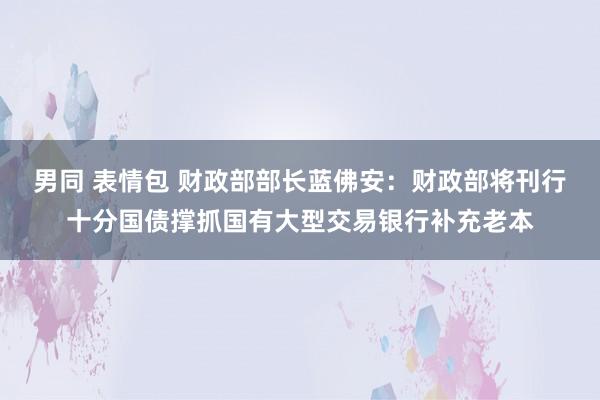 男同 表情包 财政部部长蓝佛安：财政部将刊行十分国债撑抓国有大型交易银行补充老本