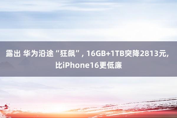 露出 华为沿途“狂飙”， 16GB+1TB突降2813元， 比iPhone16更低廉