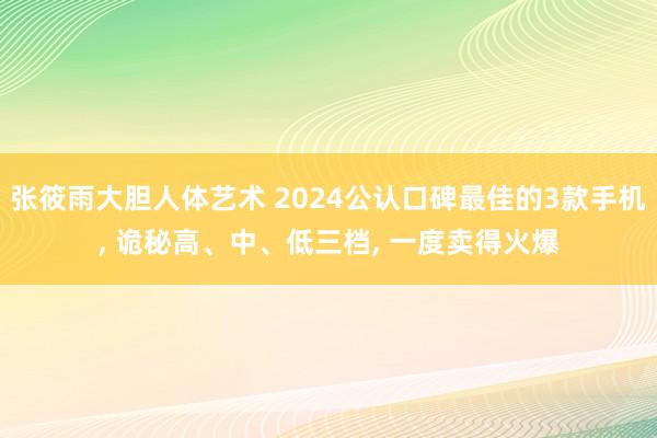 张筱雨大胆人体艺术 2024公认口碑最佳的3款手机， 诡秘高、中、低三档， 一度卖得火爆