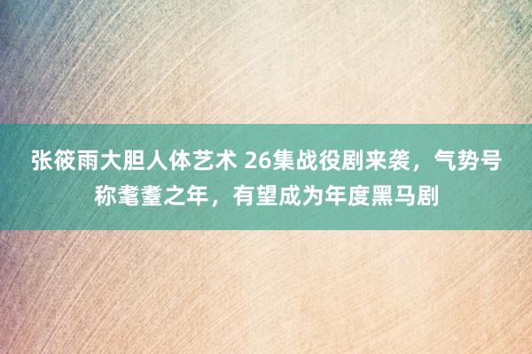 张筱雨大胆人体艺术 26集战役剧来袭，气势号称耄耋之年，有望成为年度黑马剧