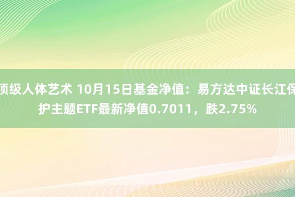 顶级人体艺术 10月15日基金净值：易方达中证长江保护主题ETF最新净值0.7011，跌2.75%