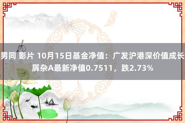 男同 影片 10月15日基金净值：广发沪港深价值成长羼杂A最新净值0.7511，跌2.73%