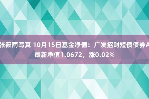 张筱雨写真 10月15日基金净值：广发招财短债债券A最新净值1.0672，涨0.02%