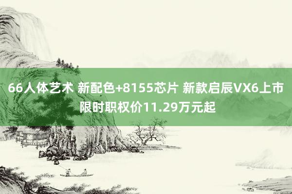 66人体艺术 新配色+8155芯片 新款启辰VX6上市 限时职权价11.29万元起