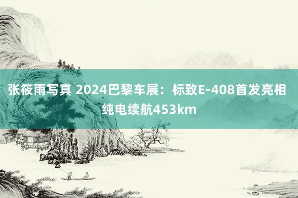 张筱雨写真 2024巴黎车展：标致E-408首发亮相 纯电续航453km