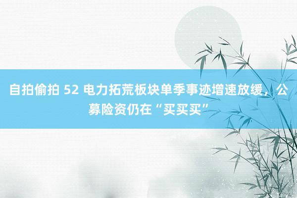 自拍偷拍 52 电力拓荒板块单季事迹增速放缓，公募险资仍在“买买买”