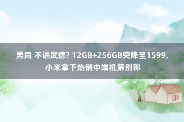 男同 不讲武德? 12GB+256GB突降至1599， 小米拿下热销中端机第别称