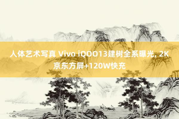 人体艺术写真 Vivo iQOO13建树全系曝光， 2K京东方屏+120W快充