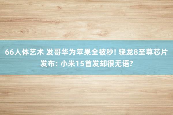 66人体艺术 发哥华为苹果全被秒! 骁龙8至尊芯片发布: 小米15首发却很无语?