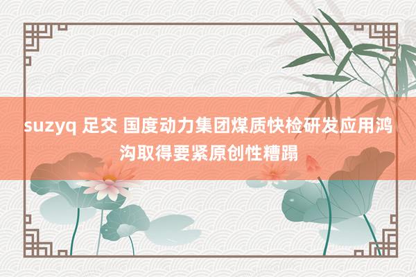 suzyq 足交 国度动力集团煤质快检研发应用鸿沟取得要紧原创性糟蹋