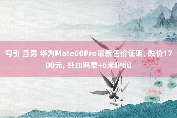 勾引 直男 华为Mate60Pro最新售价证明， 跌价1700元， 纯血鸿蒙+6米IP68