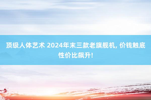 顶级人体艺术 2024年末三款老旗舰机， 价钱触底性价比飙升!