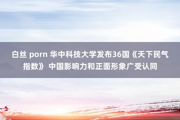 白丝 porn 华中科技大学发布36国《天下民气指数》 中国影响力和正面形象广受认同