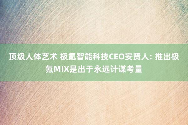 顶级人体艺术 极氪智能科技CEO安贤人: 推出极氪MIX是出于永远计谋考量